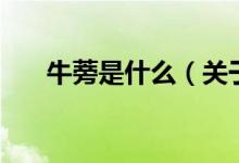 牛蒡是什么（關(guān)于牛蒡是什么的介紹）