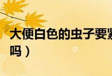 大便白色的蟲子要緊嗎（大便白色的蟲子要緊嗎）