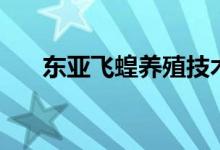 東亞飛蝗養(yǎng)殖技術(shù)（這里有詳細說明）