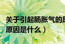 關(guān)于引起腸脹氣的原因是什么（引起腸脹氣的原因是什么）