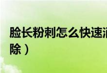 臉長粉刺怎么快速消除（臉兩邊長粉刺怎么消除）