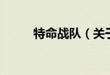 特命戰(zhàn)隊(duì)（關(guān)于特命戰(zhàn)隊(duì)的介紹）