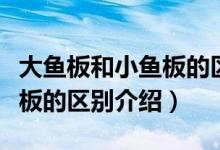 大魚板和小魚板的區(qū)別是什么（大魚板和小魚板的區(qū)別介紹）
