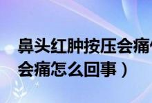 鼻頭紅腫按壓會(huì)痛什么原因?(鼻頭紅腫按壓會(huì)痛怎么回事)