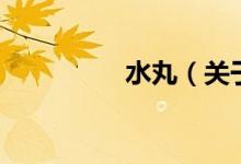 水丸（關(guān)于水丸的介紹）