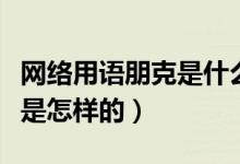 網(wǎng)絡(luò)用語(yǔ)朋克是什么意思（音樂(lè)中的朋克風(fēng)格是怎樣的）