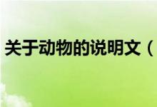 關(guān)于動物的說明文（關(guān)于動物的說明文范文）