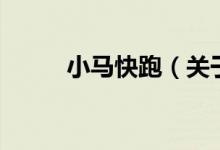 小馬快跑（關(guān)于小馬快跑的介紹）