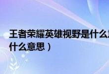 王者榮耀英雄視野是什么意思（王者榮耀輔助英雄做視野是什么意思）