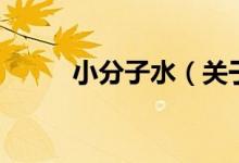 小分子水（關(guān)于小分子水的介紹）