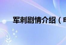 軍刺劇情介紹(電視劇軍刺劇情介紹)