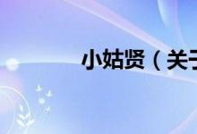 小姑賢（關(guān)于小姑賢的介紹）