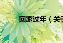 回家過年（關于回家過年的介紹）