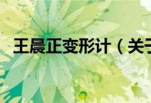 王晨正變形計(jì)（關(guān)于王晨正變形計(jì)的介紹）