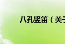 八孔豎笛（關(guān)于八孔豎笛的介紹）
