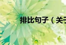排比句子（關(guān)于排比句子的介紹）