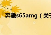 奔馳s65amg（關(guān)于奔馳s65amg的介紹）