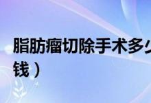 脂肪瘤切除手術(shù)多少錢（脂肪瘤切除手術(shù)多少錢）