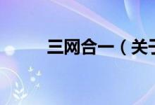 三網(wǎng)合一（關(guān)于三網(wǎng)合一的介紹）