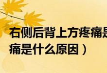 右側(cè)后背上方疼痛是什么原因（右后背上方疼痛是什么原因）