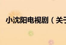 小沈陽電視?。P(guān)于小沈陽電視劇的介紹）