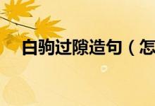 白駒過隙造句（怎么用白駒過隙造句呢）