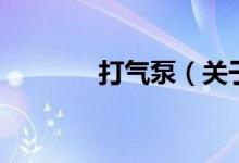 打氣泵（關(guān)于打氣泵的介紹）