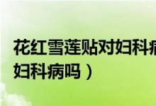 花紅雪蓮貼對婦科病有效嗎（雪蓮貼可以治療婦科病嗎）