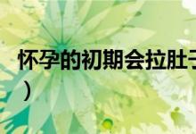懷孕的初期會(huì)拉肚子嗎（懷孕初期會(huì)拉肚子嗎）