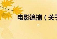 電影追捕（關(guān)于電影追捕的介紹）