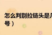 怎么判別拉鏈頭是幾號(hào)（怎樣判別拉鏈頭是幾號(hào)）