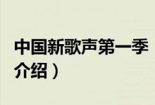 中國新歌聲第一季（關于中國新歌聲第一季的介紹）
