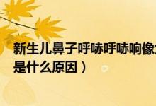 新生兒鼻子呼哧呼哧響像堵住一樣（新生兒鼻子呼哧呼哧響是什么原因）