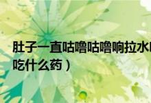 肚子一直咕嚕咕嚕響拉水吃什么藥（肚子咕嚕咕嚕一直拉水吃什么藥）