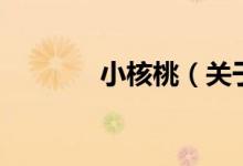 小核桃（關(guān)于小核桃的介紹）