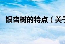 銀杏樹的特點(diǎn)（關(guān)于銀杏樹的特點(diǎn)的介紹）