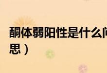 酮體弱陽性是什么問題（酮體弱陽性是什么意思）