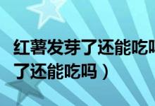 紅薯發(fā)芽了還能吃嗎吃了會(huì)怎么樣（紅薯發(fā)芽了還能吃嗎）