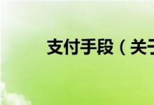 支付手段（關(guān)于支付手段的介紹）