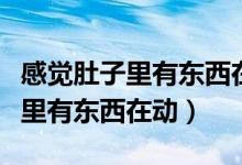 感覺肚子里有東西在動像心跳一樣（感覺肚子里有東西在動）