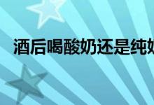 酒后喝酸奶還是純奶好（酒后喝酸奶好嗎）