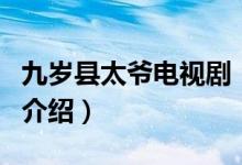 九歲縣太爺電視劇（關(guān)于九歲縣太爺電視劇的介紹）