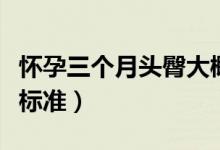 懷孕三個(gè)月頭臀大概多大（懷孕三個(gè)月頭臀長(zhǎng)標(biāo)準(zhǔn)）