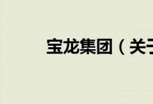 寶龍集團(tuán)（關(guān)于寶龍集團(tuán)的介紹）
