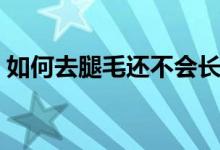 如何去腿毛還不會長（如何去腿毛不會復(fù)長）