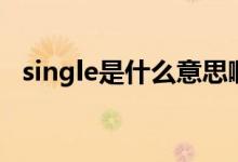 single是什么意思?。╯ingle的中文翻譯）