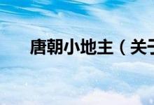唐朝小地主（關(guān)于唐朝小地主的介紹）