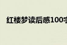 紅樓夢讀后感100字（紅樓夢讀后感示例）