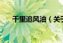 千里追風(fēng)油(關(guān)于千里追風(fēng)油的介紹)