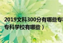 2019文科300分有哪些?？茖W(xué)校（2022高考文科300分公辦?？茖W(xué)校有哪些）